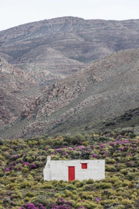 Solitary Bloom Retreat