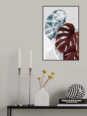 Monstera Creative 18