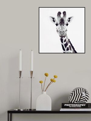 Giraffe Close-Up Elegance