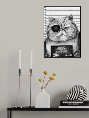 Cat With An Eye Patch