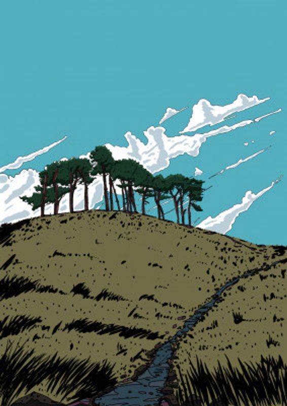 Scottish Hillside Landscape