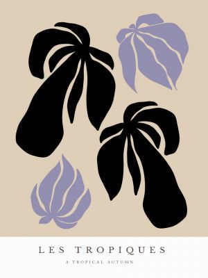 Tropical Silhouettes