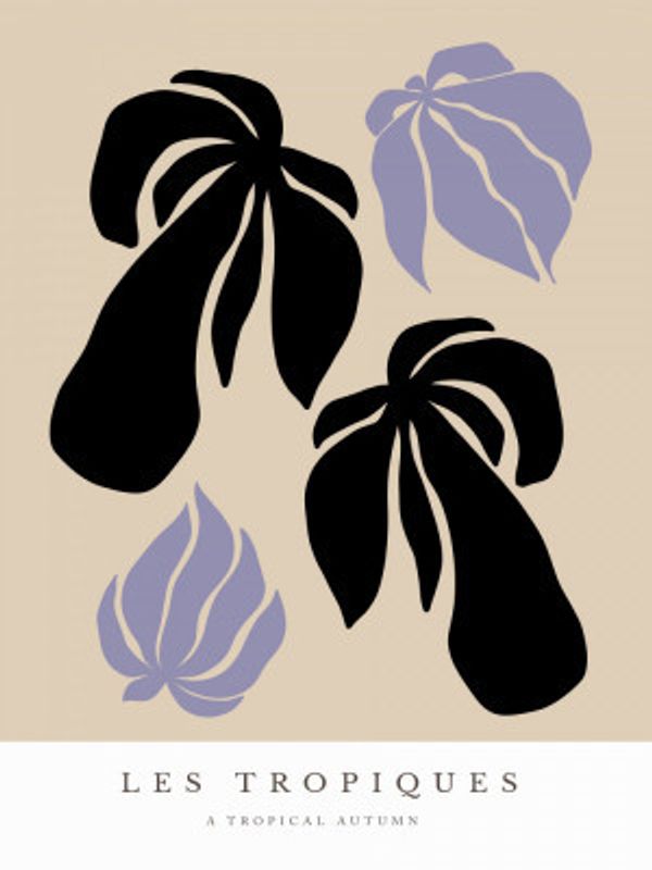 Tropical Silhouettes