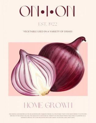 Onion Elegance