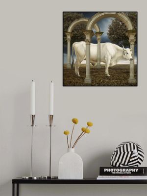 Illusionnisme De La Vache