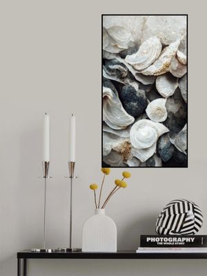 Shells and Stone