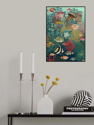 coral reef deep silence teal