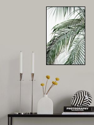Palm Leaves 21