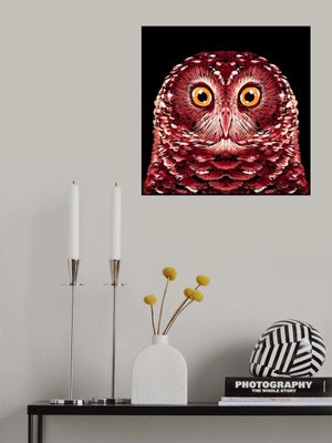 Bird Series   Owl 1