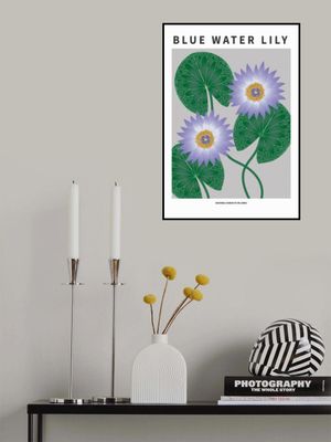 Blue Water Lily - National flower of Sri Lanka