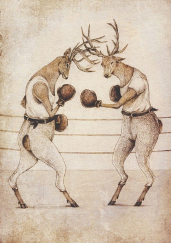 Deer Fight Vintage Style