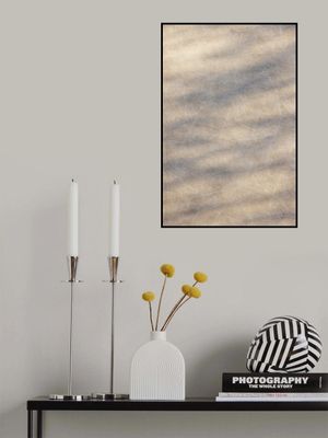 Sunlight Shadow Play