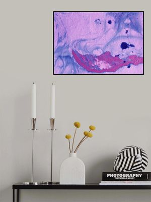 Vibrant Fluid Swirls
