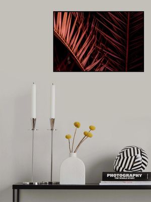 Tropical Magenta Fronds