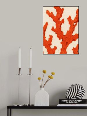 Coral Dreams