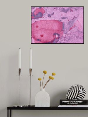 Dreamy Pink Marble