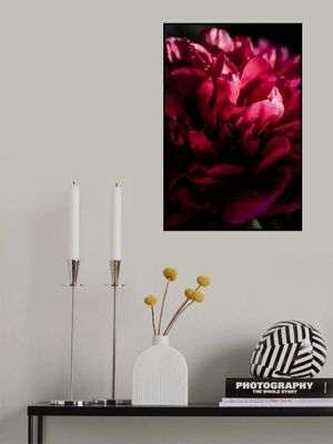 Dramatic Red Peony
