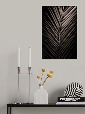 Elegant Palm Frond