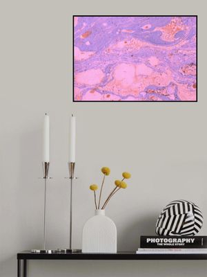 Fluid Pink Purple Abstract