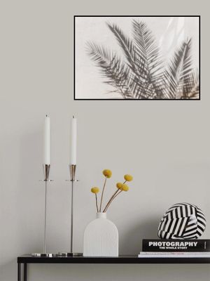 Palm Shadow Play
