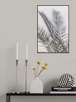 Sunlit Palm Shadows