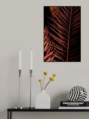 Dark Palm Frond