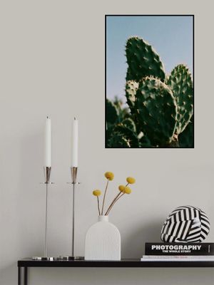 Sunny Desert Cactus