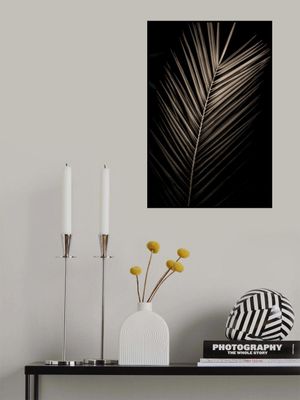 Elegant Sepia Palm
