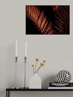 Elegant Night Palm