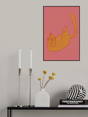 Playful Orange Cat