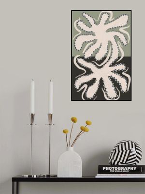 Reflected Octopus Forms