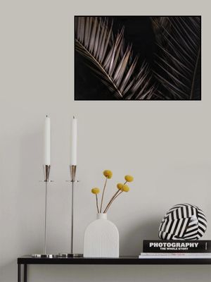 Dark Tropical Palms