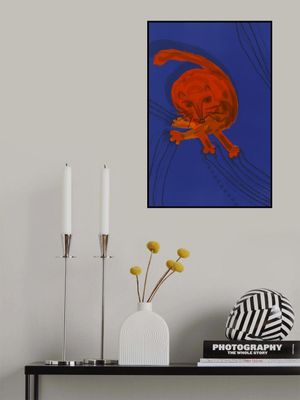 Playful Orange Cat