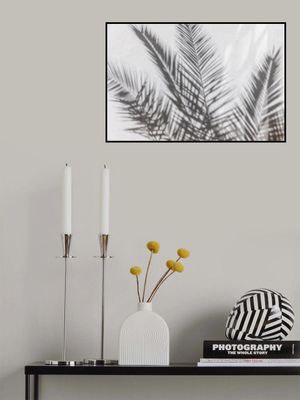 Tropical Shadow Play