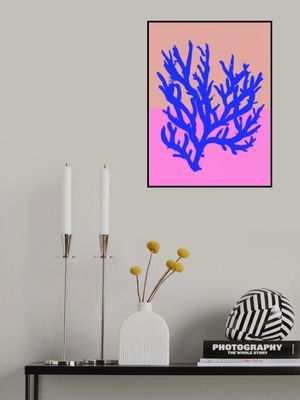 Coral Vibrance