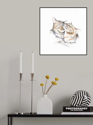 Sweetly Sleeping Cats