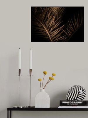 Golden Palm Fronds