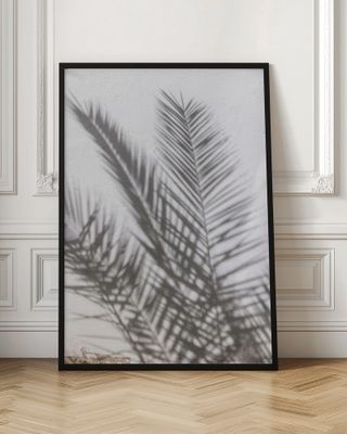 Sunlit Palm Shadows