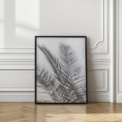 Sunlit Palm Shadows