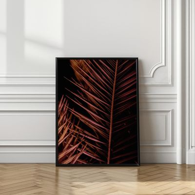 Dark Palm Frond