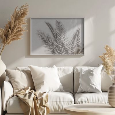 Palm Shadow Play