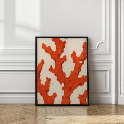 Coral Dreams