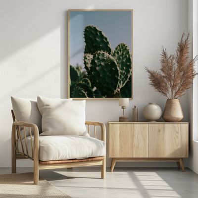 Sunny Desert Cactus