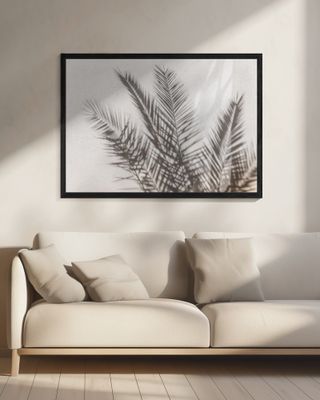 Palm Shadow Play