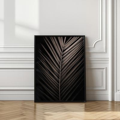 Elegant Palm Frond