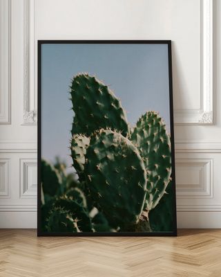 Sunny Desert Cactus
