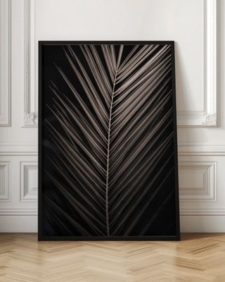 Elegant Palm Frond