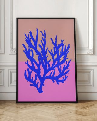 Coral Vibrance