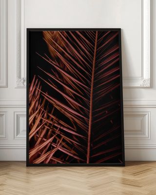 Dark Palm Frond