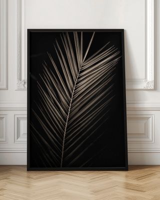 Elegant Sepia Palm